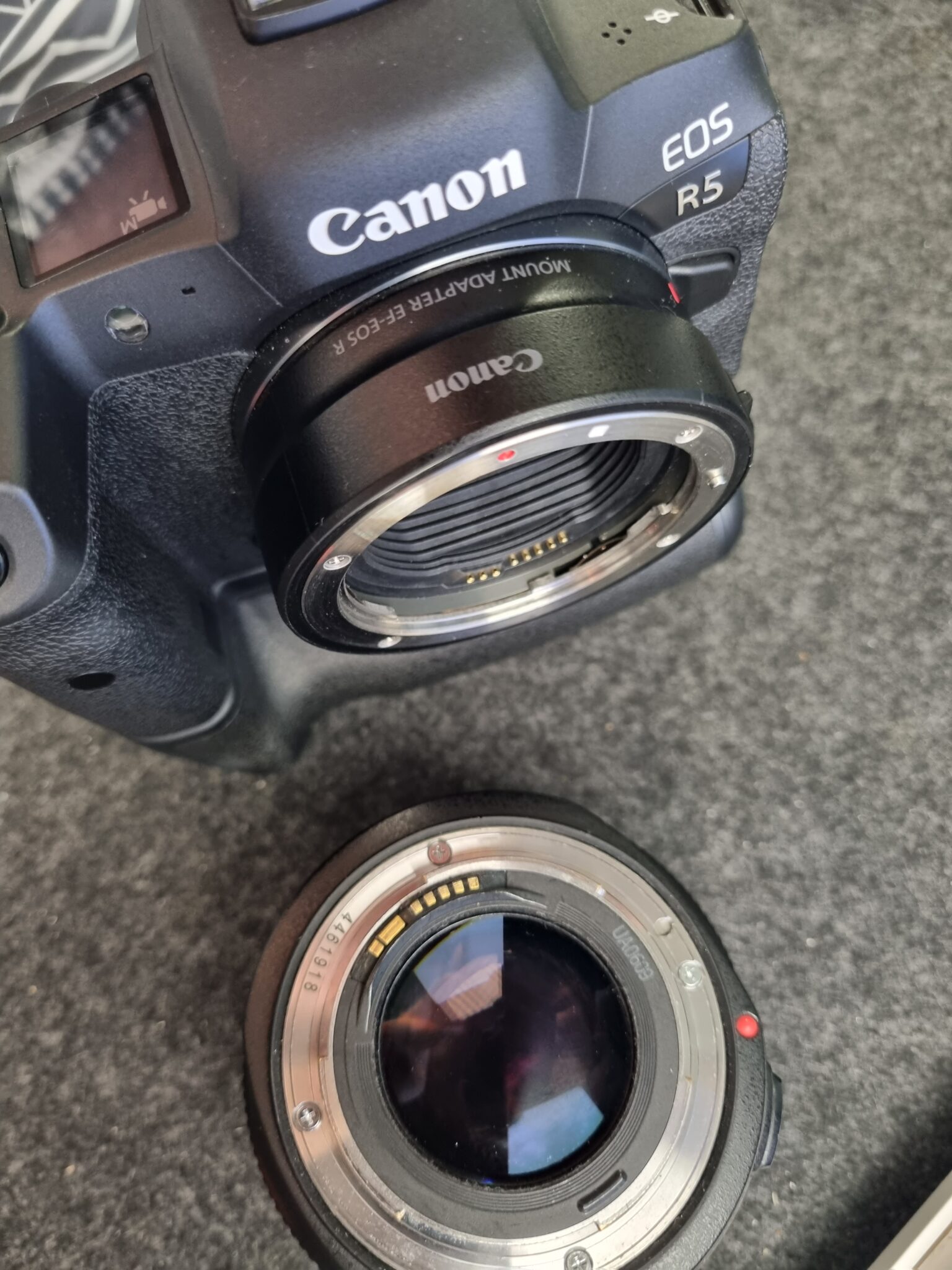 Can You Use EF Lenses on Canon R5 A Comprehensive Guide